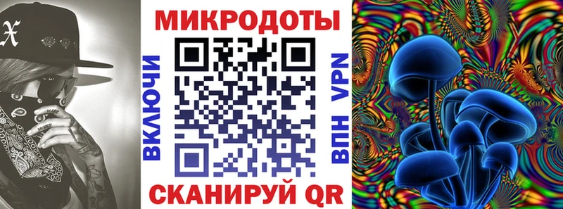Псилоцибиновые грибы Psilocybine cubensis это наркотические препараты Терек что такое наркотик